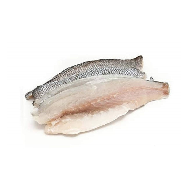 Sea Bass Fillets